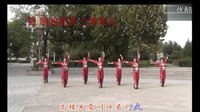 北京灵子广场舞明星1队 火火的中国梦编舞灵