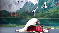 二人转正戏 奸妇害子 赵小军 小豆豆