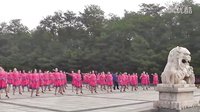 名师领舞  陪你一起看草原