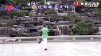 王子广场舞 《内丘之歌》正反教