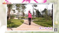 廖弟广场舞《寸草心》正反教