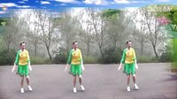 217 美丽的佩估措 幸福天天广场舞 编舞 凤