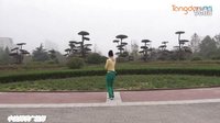 中油四季广场舞天堂