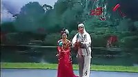 二人转   西厢观画   闫书平 佟长江
