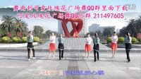 可爱玫瑰花广场舞（单跳和对跳16步温柔与霸道