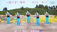 沅陵燕子广场舞《全民共舞》（正、背面演示）