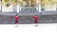 紫蝶踏歌广场舞252- 《同桌的你》附教学