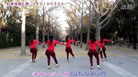 馨梅广场舞 心乱乱
