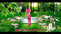 梅子广场舞 我爱你不是因为你爱我 编舞馨梅