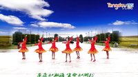 馨梅广场舞《草原请你来》团队版 228 制作：