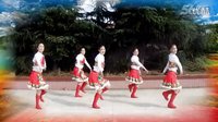 天姿广场舞2015年32期《我想回拉萨》