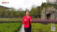 応子老师鼓励视频