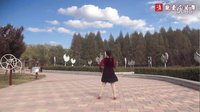 美久广场舞《垂帘听政》正反教