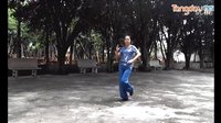 小芳广场舞  爱情大师  正反面