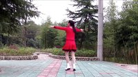 天使之翼广场舞《梦中的妈妈》正反教