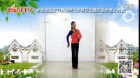 广场舞  雪域踢踏  王梅教学视频