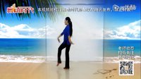王梅广场舞《彩云追月》正反教