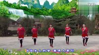 子青广场舞 我不是花瓶 附背面（合肥市槐林港