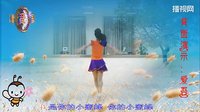 爱吾广场舞小蜜蜂（附背面演示和口令分解）