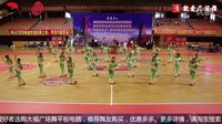 生花艺术团《万泉河水