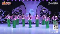 艺子龙编舞《莲花》团队正反面12