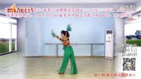 春英广场舞《火与蝶》正反教