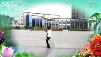 立铭广场舞  草原情歌背面