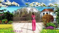 春英广场舞  梨花白 正面