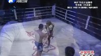 武林风 130511