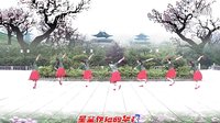 応子广场舞 远古的月光 （正背面演示及口令分