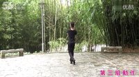 廖弟广场舞《飞旋的香巴拉》口令及背面演示