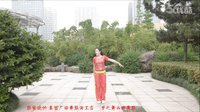 张春丽广场舞《把心给你》正反教学