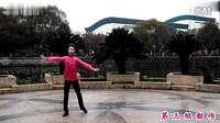 张春丽广场舞《情在远方》背面及分解