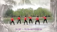 畅春园舞蹈队   问情