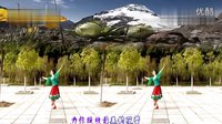 娇媚广场舞 做你的雪莲（正、背面演示）