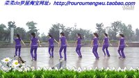 柔石柔柔广场舞-爱像一场纷飞雨