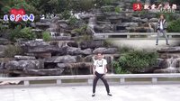 王子广场舞 《哒滴咚咚》泰国舞
