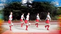 天姿广场舞2015年32期《我想回拉萨》