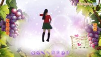 高龙慧慧广场舞 小葡萄 正反教