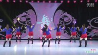 杨艺王梅广场舞《想你啦》背身_