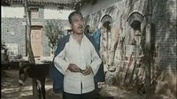 豫剧老电影《小白鞋说媒》上