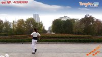 舞动旋律2007健身队 完美的一天 正反教