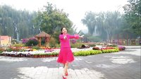 北京景诗园晶晶广场舞《红尘过客》