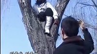 民间小调《小姨子上树》下集下载