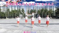 可爱玫瑰花广场舞（动感DJ版恋曲1990）含分解动