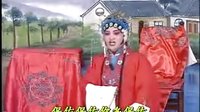 化妆琴剧：王天宝下苏州25