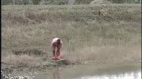 民间小调荆献顺过河下载