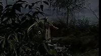 黄梅戏天仙配续集：《七仙女与董永》全集