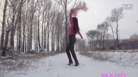 金芙蓉2015雪地外景版慢摇-----我想有个家 