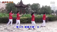 磁县中老年健身操（五行健康长寿操）高清 舞曲